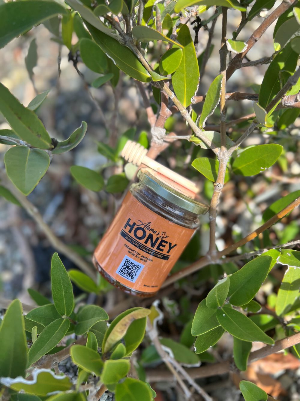 Aloma's Honey