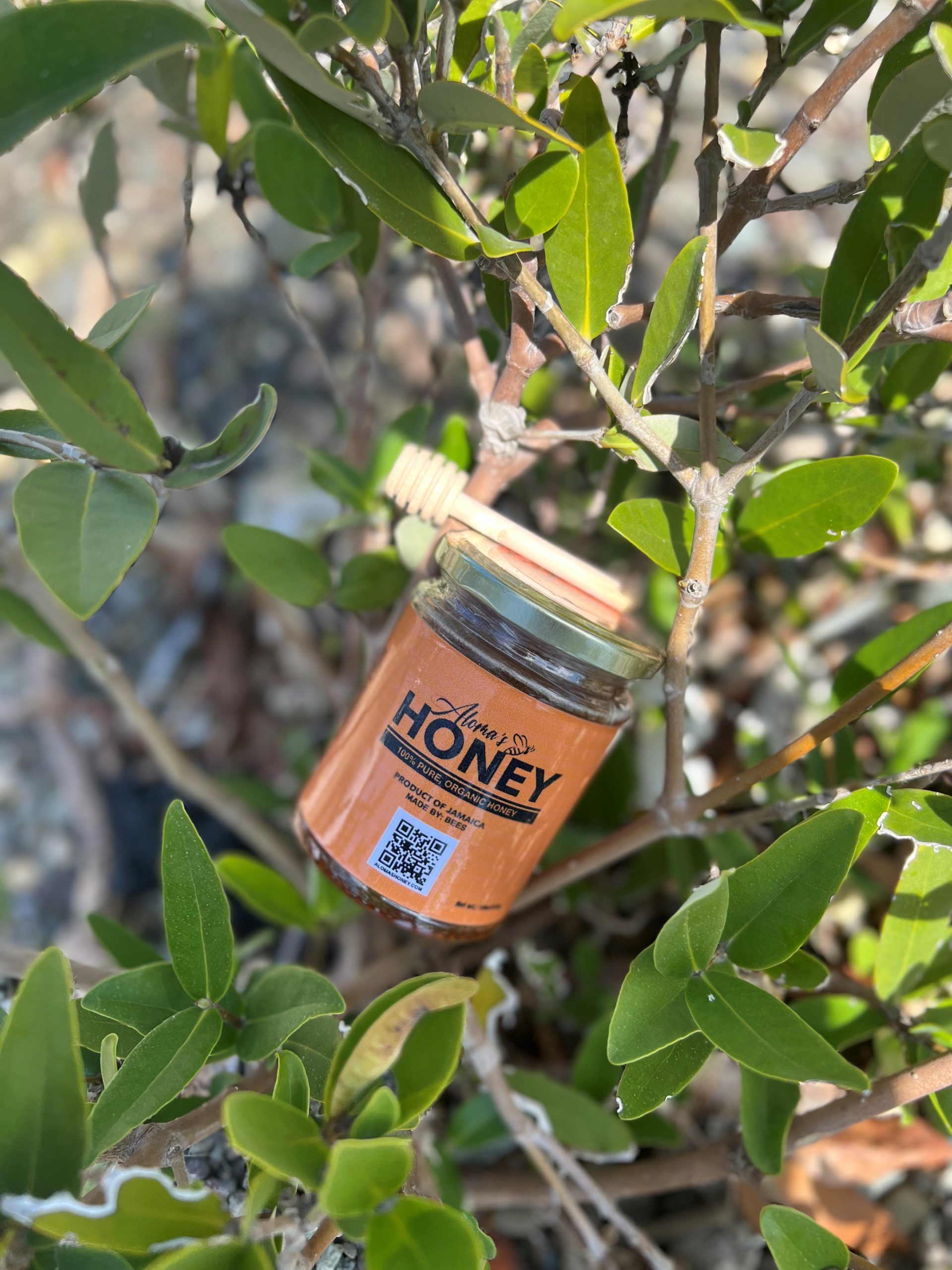 Aloma's Honey